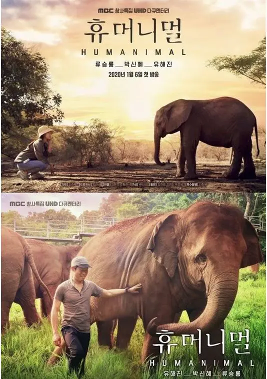 《人类-动物》：揭示人与动物之间微妙关系