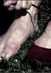 探秘经典动画《红鞋子》：梦幻与现实的奇妙交织