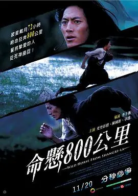 《命悬800公里》:一场穿越死亡的公路求生,墨西哥毒枭下的亡命之旅!