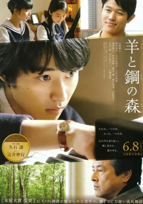 《羊与钢的森林》：聆听钢琴的回响，在治愈森林中找寻自我与生命的共鸣