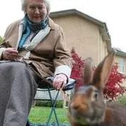 追寻文学传奇：《和帕特里夏·劳特利奇一起追寻碧翠丝·波特》的文化之旅